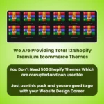 10+ Premium Shopify Ecom Themes - Image 2