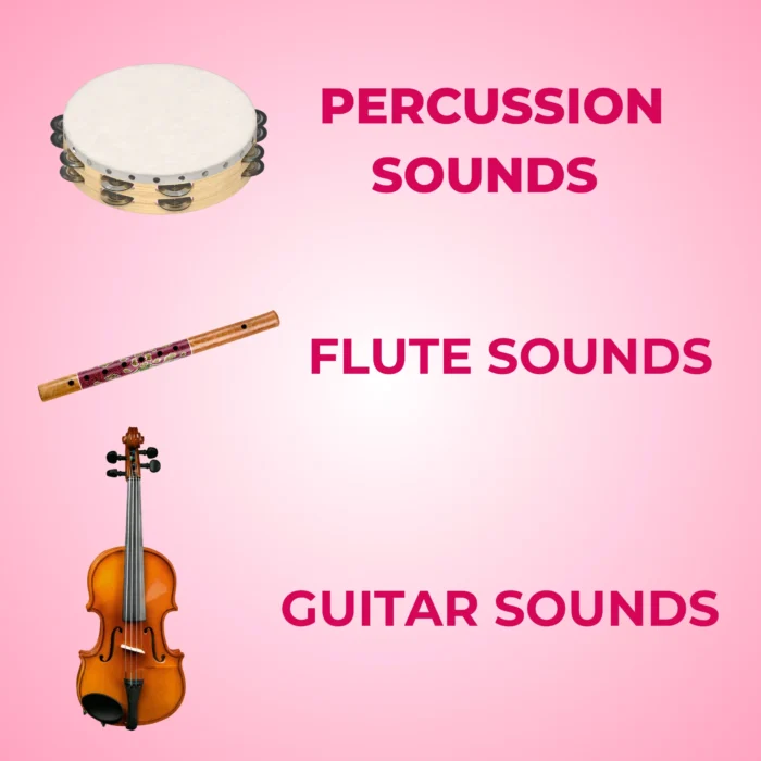 25GB Music Loops Pack - Image 4