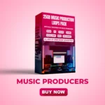 25GB Music Loops Pack - Image 6